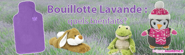 bouillottes à la lavande