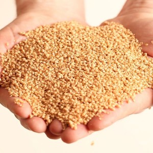 balle millet vrac