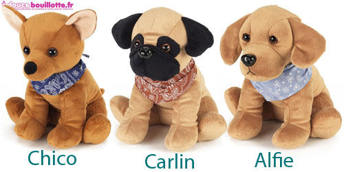 Bouillottes Intelex Chien