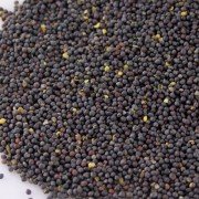 Graine de colza pour faire soi-même sa bouillotte, 1kg