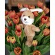 Bouillotte Peluche Lapin roux poils blanc