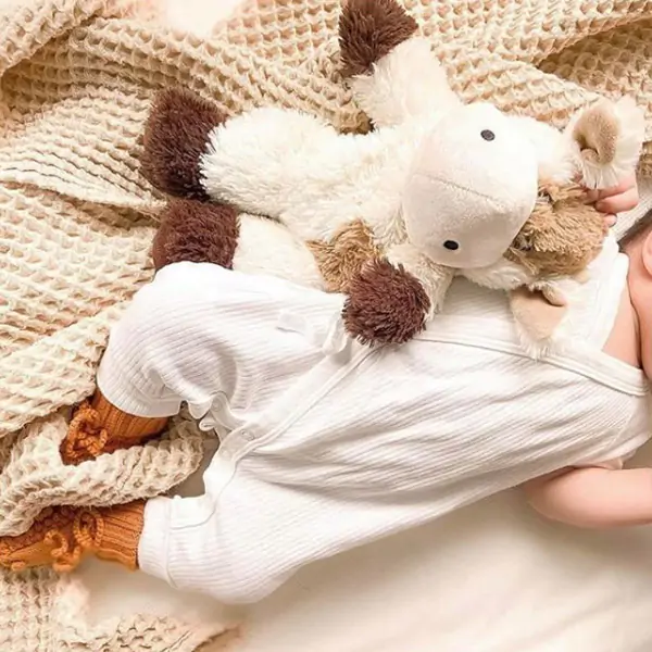 Bouillotte peluche, photo par Warmies